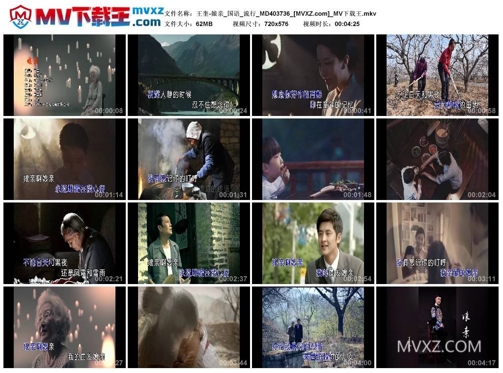 王奎-娘亲_国语_流行_MD403736